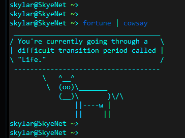 Automating Cisco Configuration though RANCID and BASH