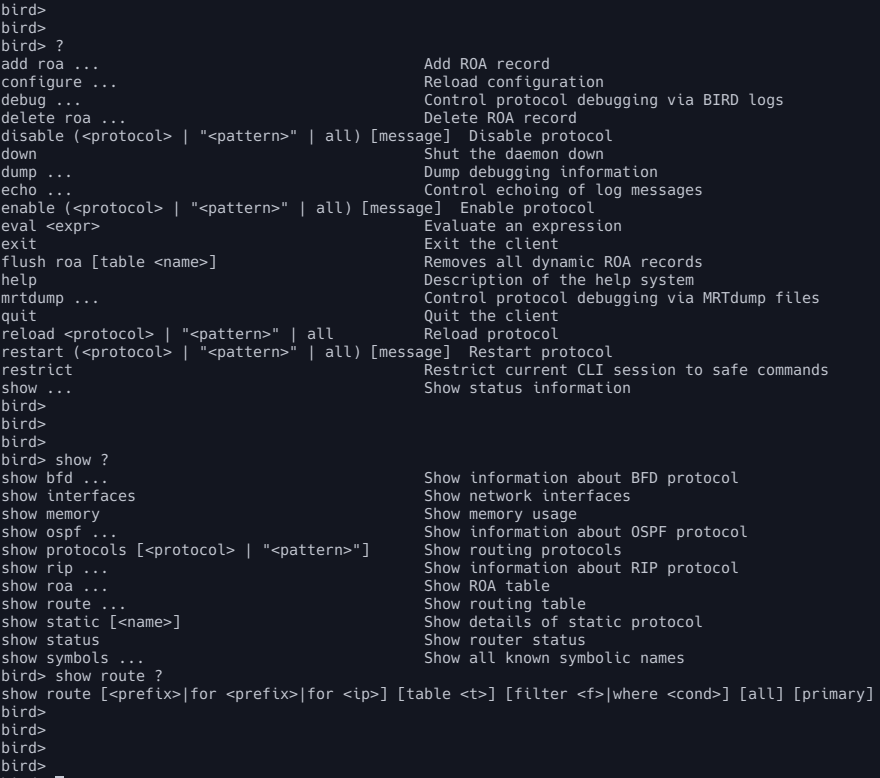 Running BGP on a Linux server with BIRD Routing Daemon