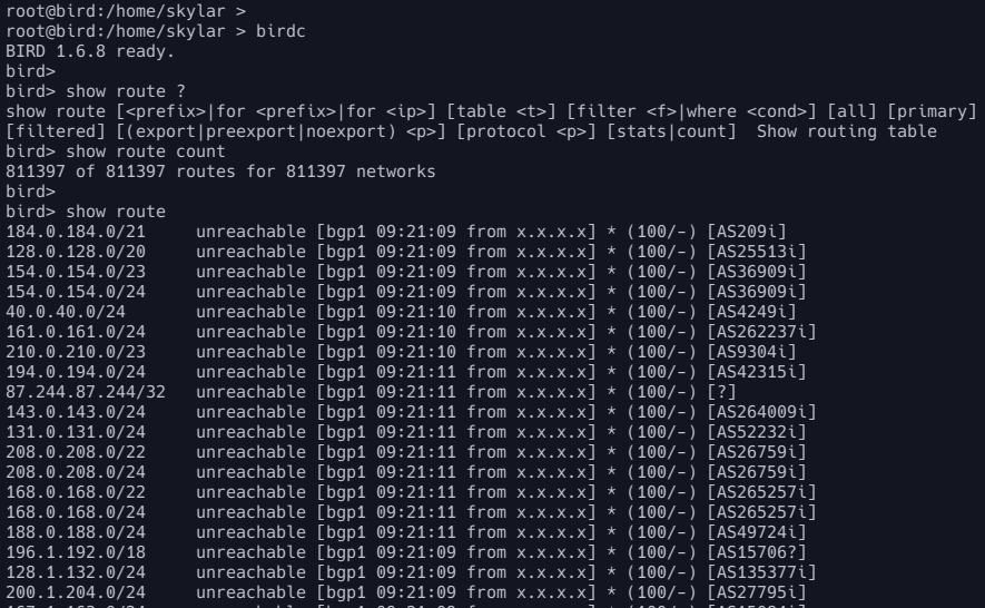 Running BGP on a Linux server with BIRD Routing Daemon